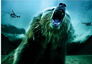 Rogue Bear Valley